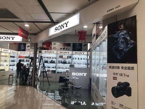 夏日激情背后的财务智慧 为何我们敢于在酷暑中“浪”