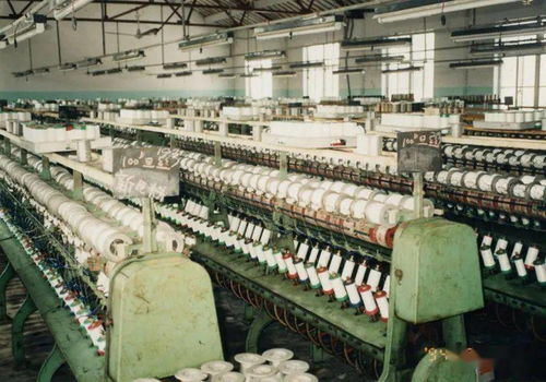 吴江民营经济领跑江苏 财务咨询的关键角色