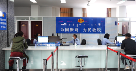 烂漫税宣月 党员先锋便民办税“春风送达”