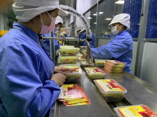 落实优惠政策，拓展“非接触式”办税，税务部门多措并举助力企业复工复产