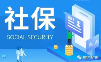 娄星区税务局为您解读减税降费相关税收政策及办税服务举措